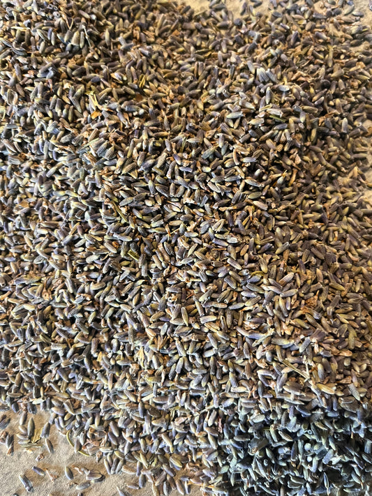 Organic Dried Lavender Herb for Tea